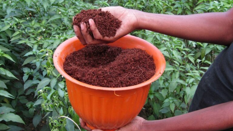 FPOs and Agri Cooperatives (5)