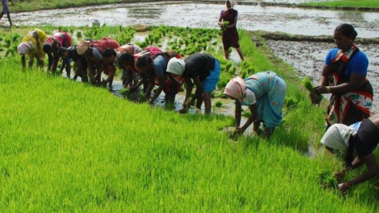 FPOs and Agri Cooperatives