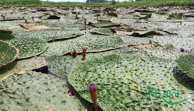 Untitled-design-2022-08-22T184348